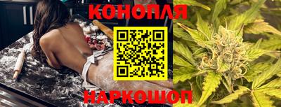 крисы Лесосибирск