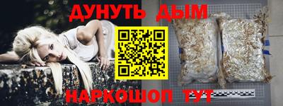 крисы Лесосибирск