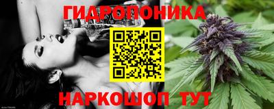 крисы Лесосибирск