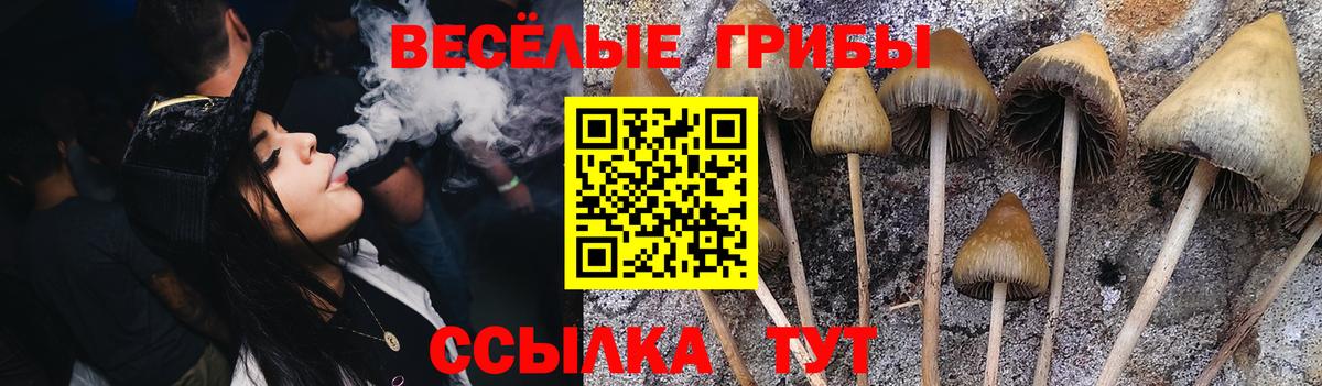 Горно-Алтайск  Галлюциногенные грибы мухоморы  Вход с VPN  Псилоцибиновые грибы мухоморы 