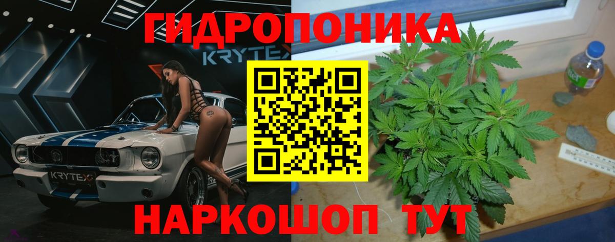 Бошки марихуана Amnesia Горно-Алтайск